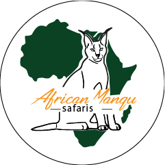 African Mangu Safaris